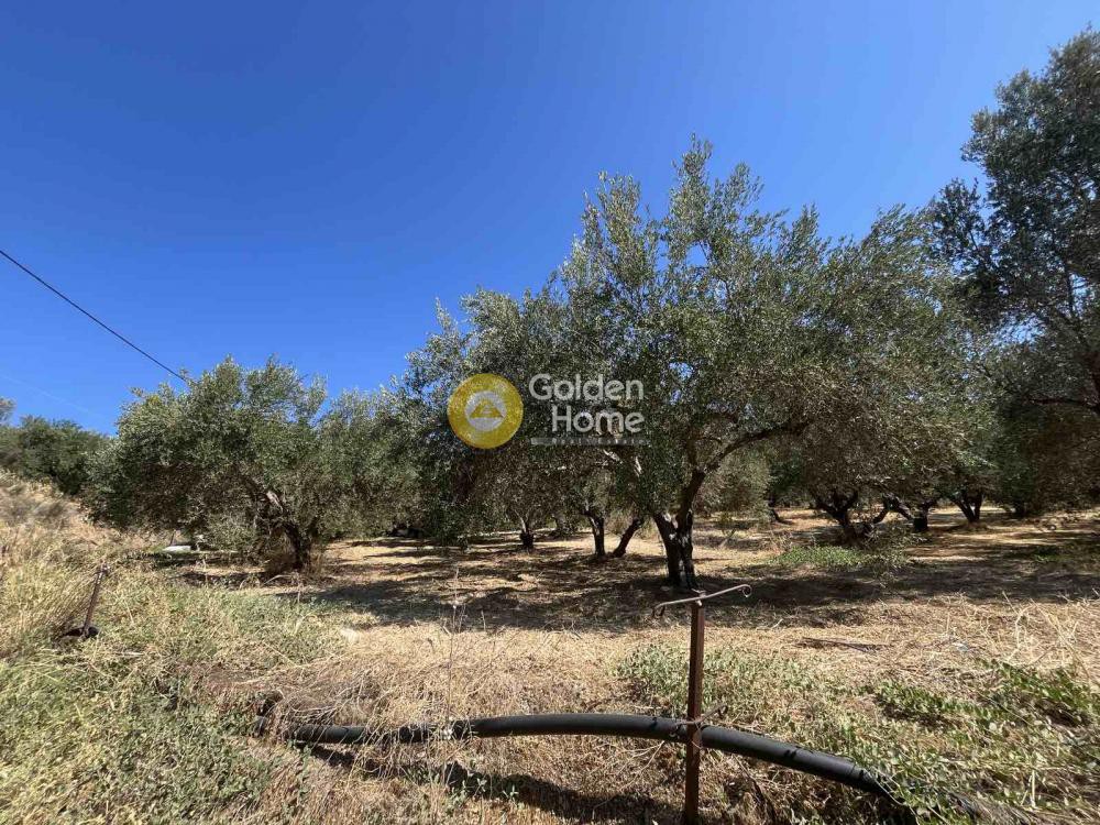 Οικόπεδο 667 τ.μ. πρός πώληση, Ν. Ηρακλείου, Γάζι