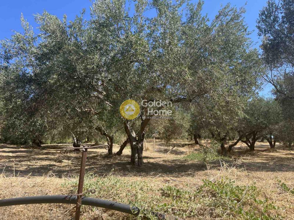 Οικόπεδο 667 τ.μ. πρός πώληση, Ν. Ηρακλείου, Γάζι
