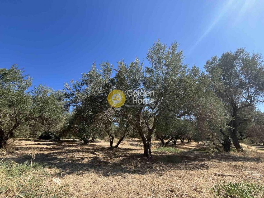 Οικόπεδο 667 τ.μ. πρός πώληση, Ν. Ηρακλείου, Γάζι