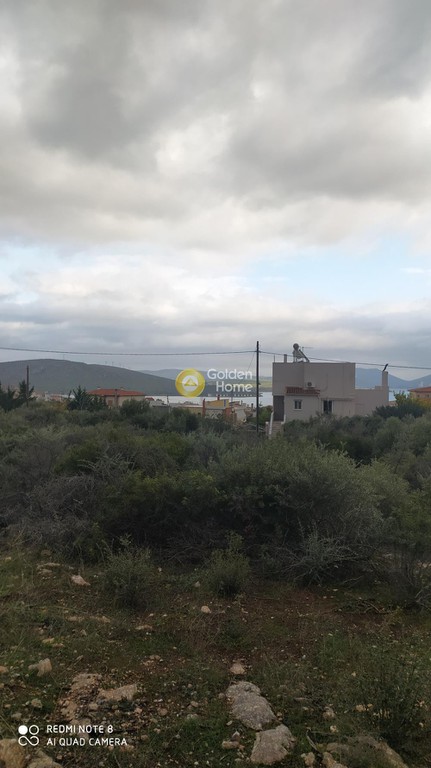 Μεζονέτα 250 τ.μ. πρός πώληση, Εύβοια, Ταμύνες
