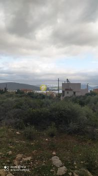 Μεζονέτα 250τ.μ. για πώληση-Ταμύνες » Ακτή νηρέως