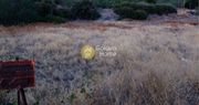 Land plot 1.080sqm for sale-Aegina » Marathonas