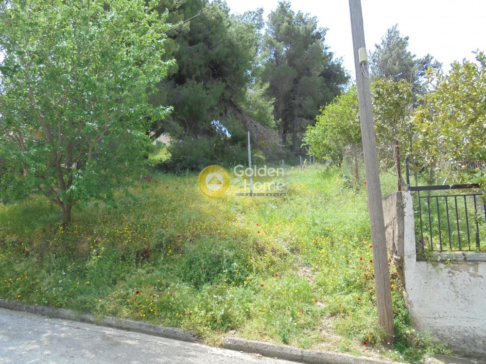 Οικόπεδο 660 τ.μ. πρός πώληση, Αθήνα - Ανατολικά Προάστια, Ανθούσα