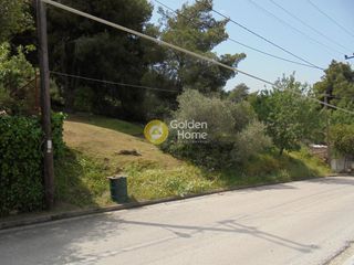 Οικόπεδο 660 τ.μ. προς πώληση, Ανθούσα Αττικής-thumb-2