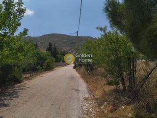 Αγροτεμάχια 1.600 τ.μ. για πώληση
