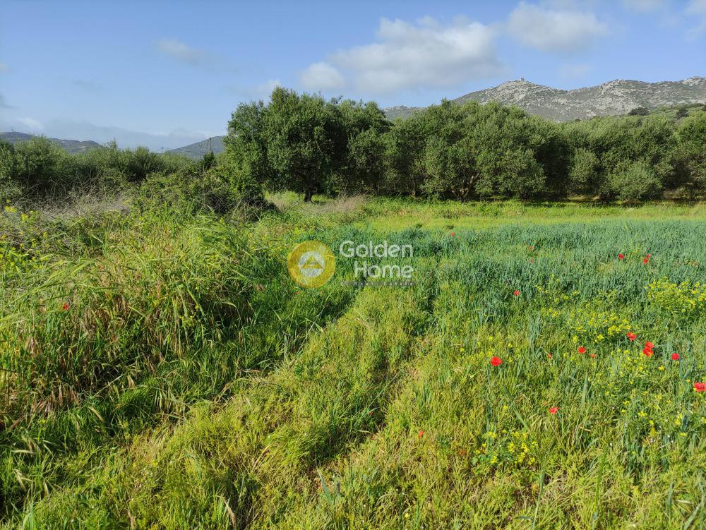 Οικόπεδο 2.788 τ.μ. πρός πώληση, Ν. Ηρακλείου, Αρχάνες