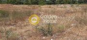 Land plot 160sqm for sale-Vergina » Platamonas