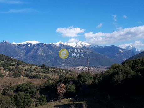 Μονοκατοικία 159τ.μ. για πώληση-Λευκάσιο » Φίλια