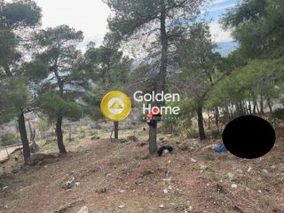 Οικόπεδο 1.001 τ.μ. για πώληση