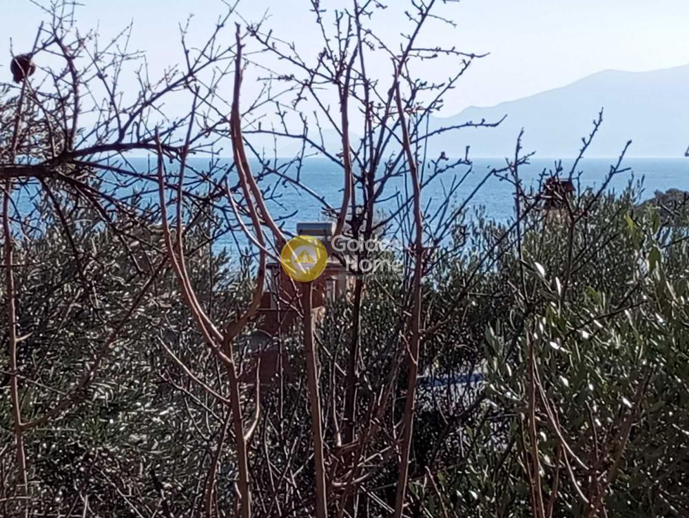 Οικόπεδο 230 τ.μ. πρός πώληση, Μαγνησία, Νέα Αγχίαλος