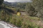 Land plot 2.355sqm for sale-Gazi » Ano Kalesia