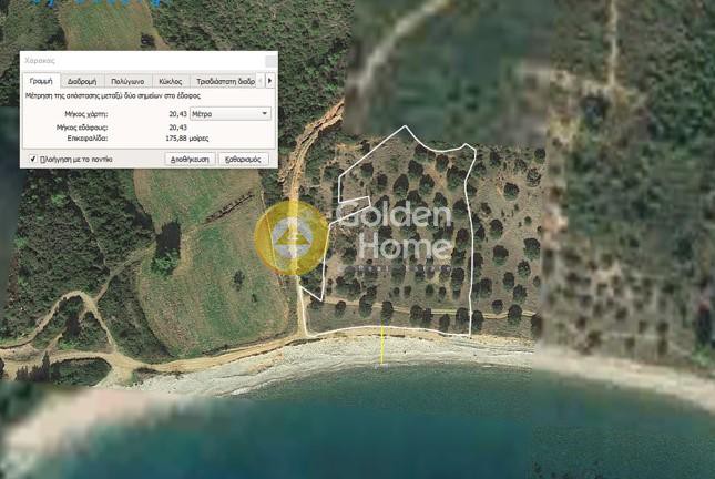 Αγροτεμάχια 8.163 τ.μ. πρός πώληση, Χαλκιδική, Παλλήνη