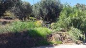 Land plot 980sqm for sale-Erineo » Lampiri