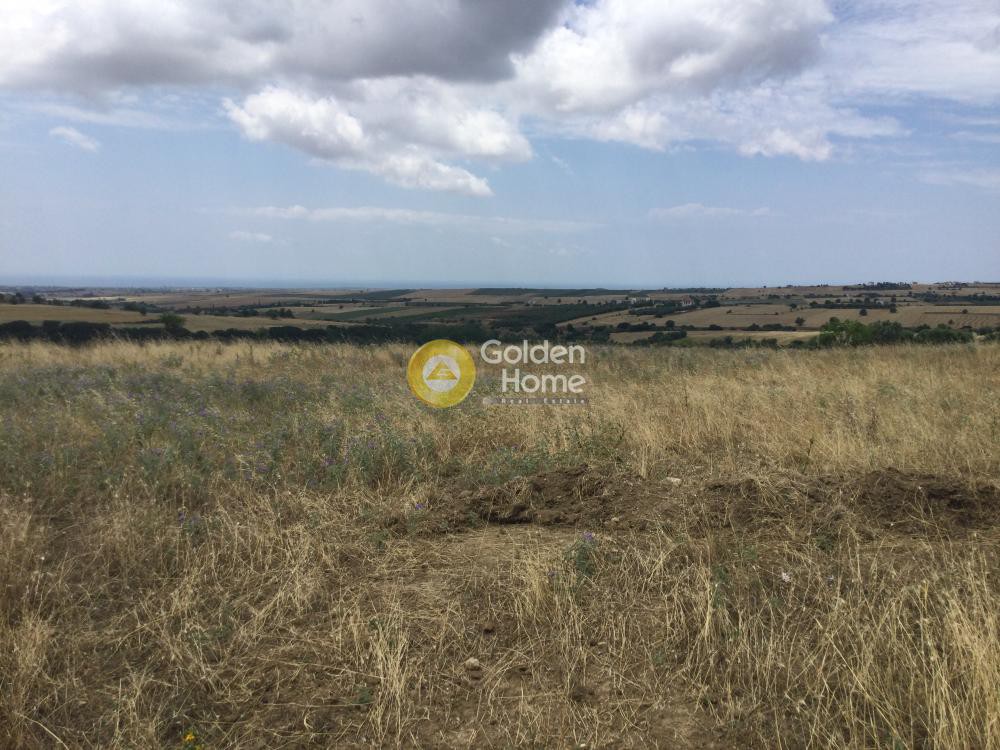 Αγροτεμάχια 10.500 τ.μ. προς πώληση, Τρίλοφο Θέρμης