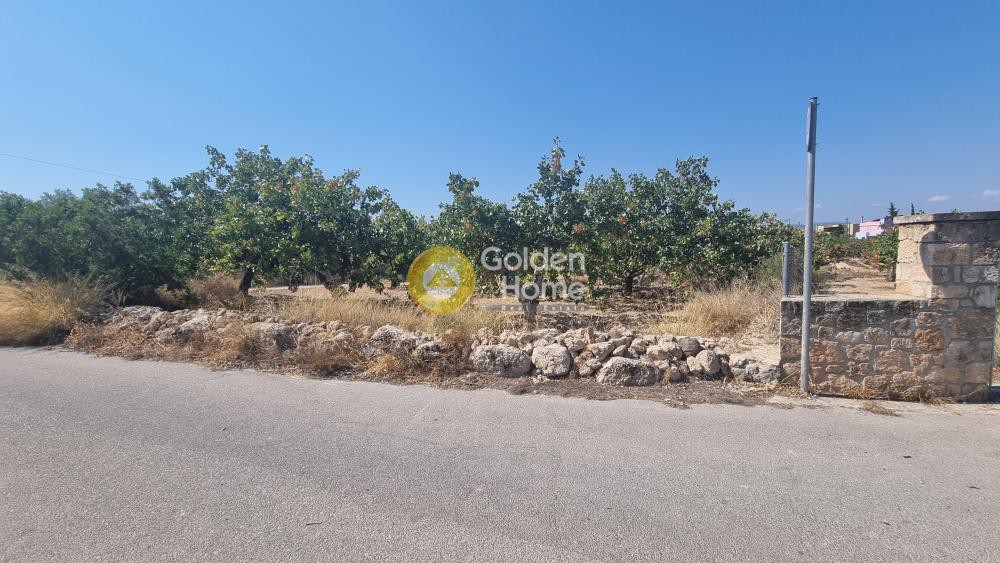 Οικόπεδο 1.009 τ.μ. πρός πώληση, Νησιά Αργοσαρωνικού, Αίγινα