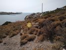 Land plot 8.000sqm for sale-Andros » Idrousa