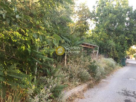 Οικόπεδο 175 τ.μ. πρός ενοικίαση