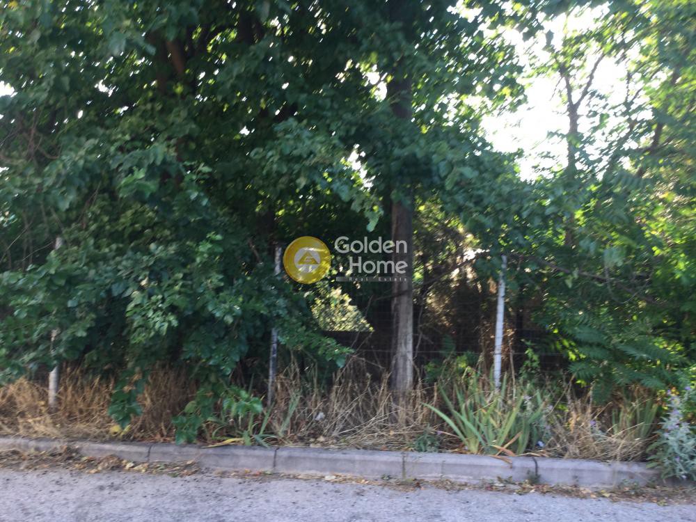 Οικόπεδο 175 τ.μ. πρός ενοικίαση, Θεσσαλονίκη - Περιφ/Κοί Δήμοι, Σταυρούπολη