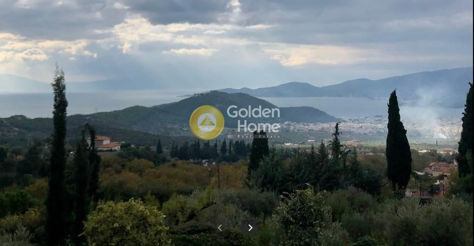 Οικόπεδο 2.820 τ.μ. πρός πώληση, Μαγνησία, Πορταριά