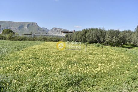 Αγροτεμάχια 710 τ.μ. για πώληση