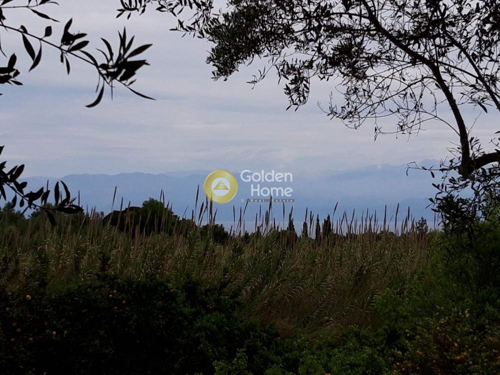 Αγροτεμάχια 6.700 τ.μ. πρός πώληση, Μεσσηνία, Αίπεια