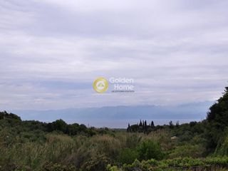 Αγροτεμάχια 6.700 τ.μ. για πώληση