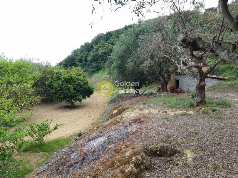 Αγροτεμάχια 6.700 τ.μ. πρός πώληση, Μεσσηνία, Αίπεια