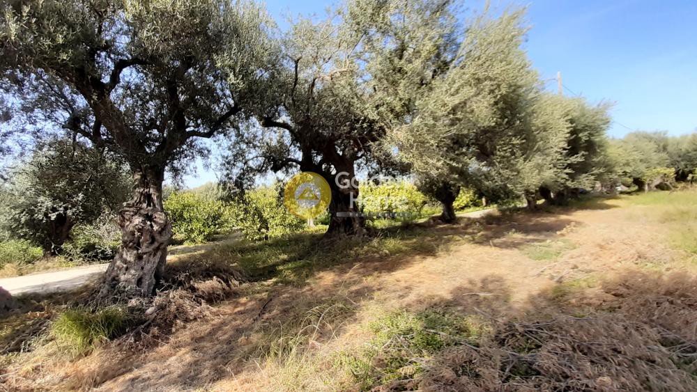Οικόπεδο 2.292 τ.μ. πρός πώληση, Κορινθία, Ευρωστίνη