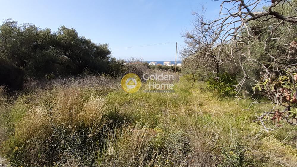 Οικόπεδο 2.292 τ.μ. πρός πώληση, Κορινθία, Ευρωστίνη