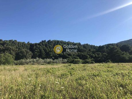 Land plot 4.400sqm for sale-Oropos » Kosmothea