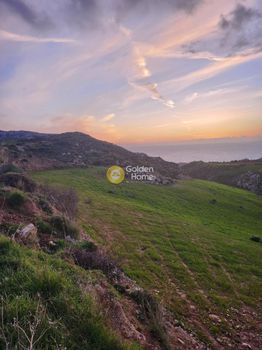 Land plot 5.800sqm for sale-Foinikas » Ammoudi