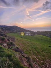 Οικόπεδο 5.800 τ.μ. για πώληση