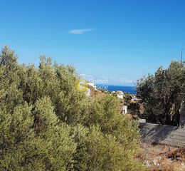 Αγροτεμάχια 534 τ.μ. για πώληση