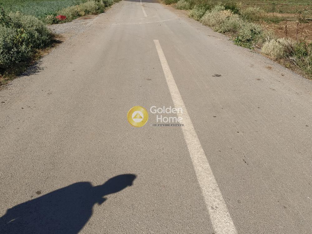 Αγροτεμάχια 8.100 τ.μ. πρός πώληση, Θεσσαλονίκη - Περιφ/Κοί Δήμοι, Θέρμη