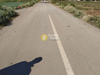 Αγροτεμάχια 8.100 τ.μ. για πώληση