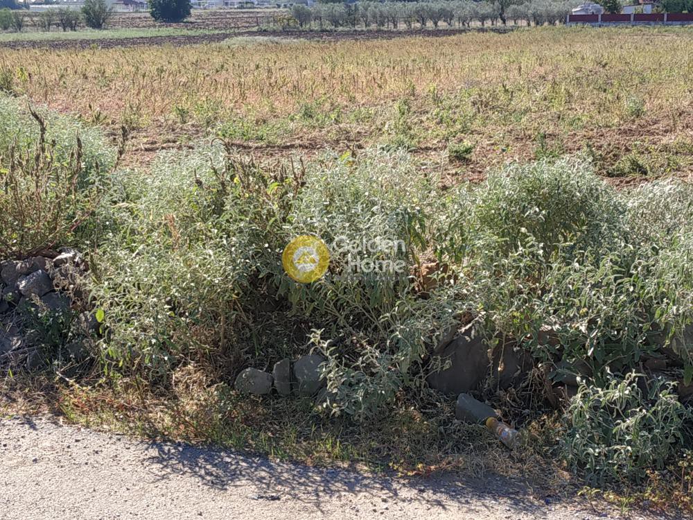 Αγροτεμάχια 8.100 τ.μ. πρός πώληση, Θεσσαλονίκη - Περιφ/Κοί Δήμοι, Θέρμη