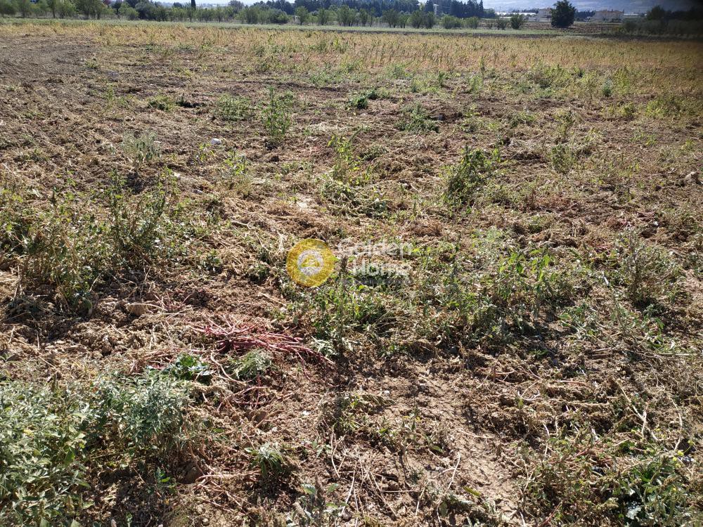 Αγροτεμάχια 8.100 τ.μ. πρός πώληση, Θεσσαλονίκη - Περιφ/Κοί Δήμοι, Θέρμη