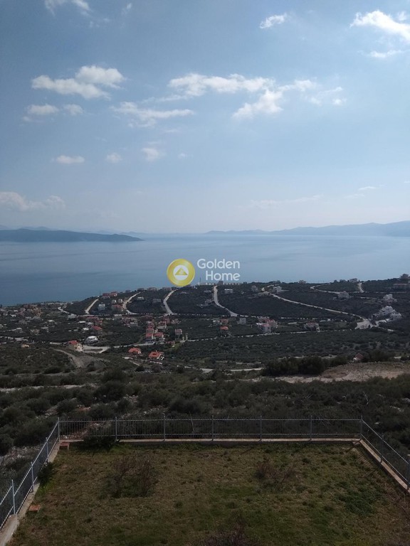 Studio / γκαρσονιέρα 40 τ.μ. πρός πώληση, Εύβοια, Ταμύνες