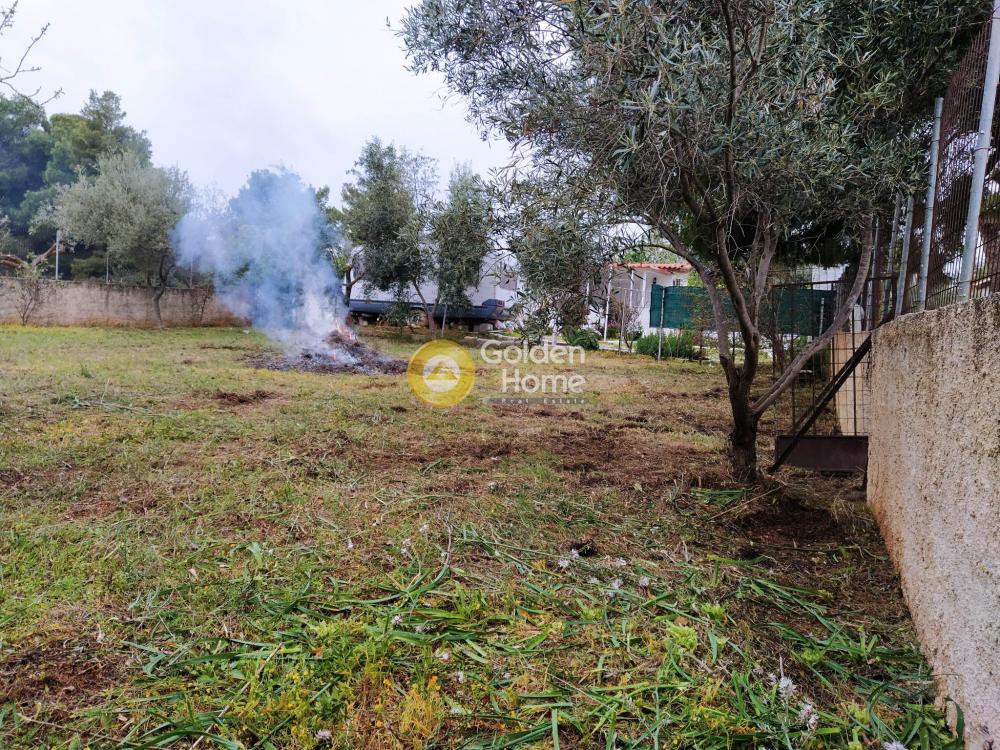 Αγροτεμάχια 300 τ.μ. πρός πώληση, Αθήνα - Ανατολικά Προάστια, Αρτέμιδα (λούτσα)