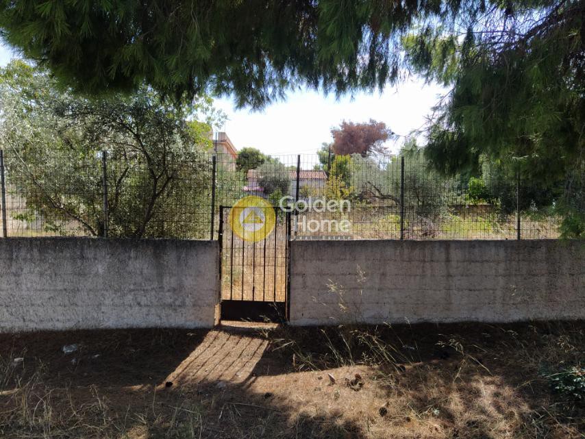 Αγροτεμάχια 300 τ.μ. πρός πώληση, Αθήνα - Ανατολικά Προάστια, Αρτέμιδα (λούτσα)