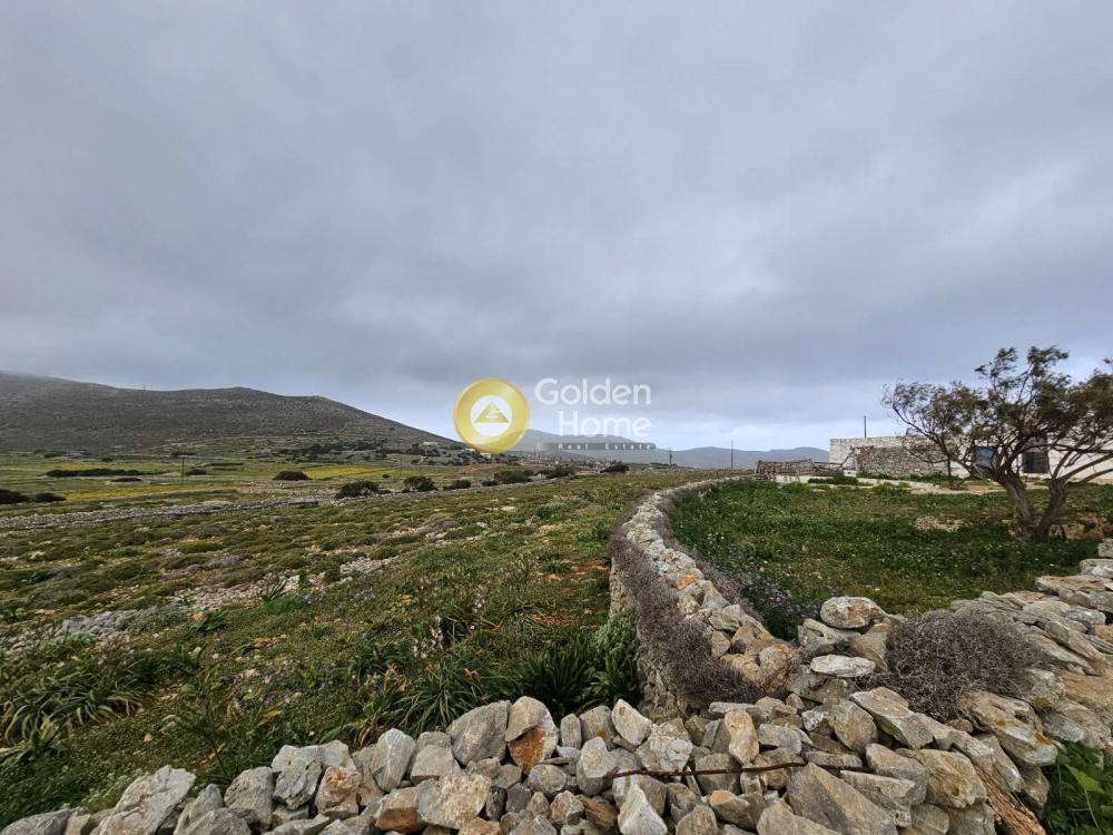 Αγροτεμάχια 6.155 τ.μ. πρός πώληση, Κυκλάδες, Φολέγανδρος