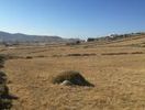 Land plot 32.500sqm for sale-Mykonos » Kalafati