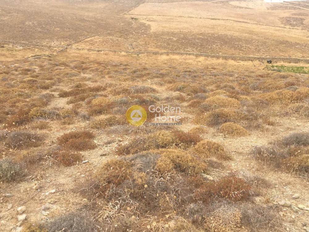 Οικόπεδο 4.050 τ.μ. πρός πώληση, Κυκλάδες, Μύκονος