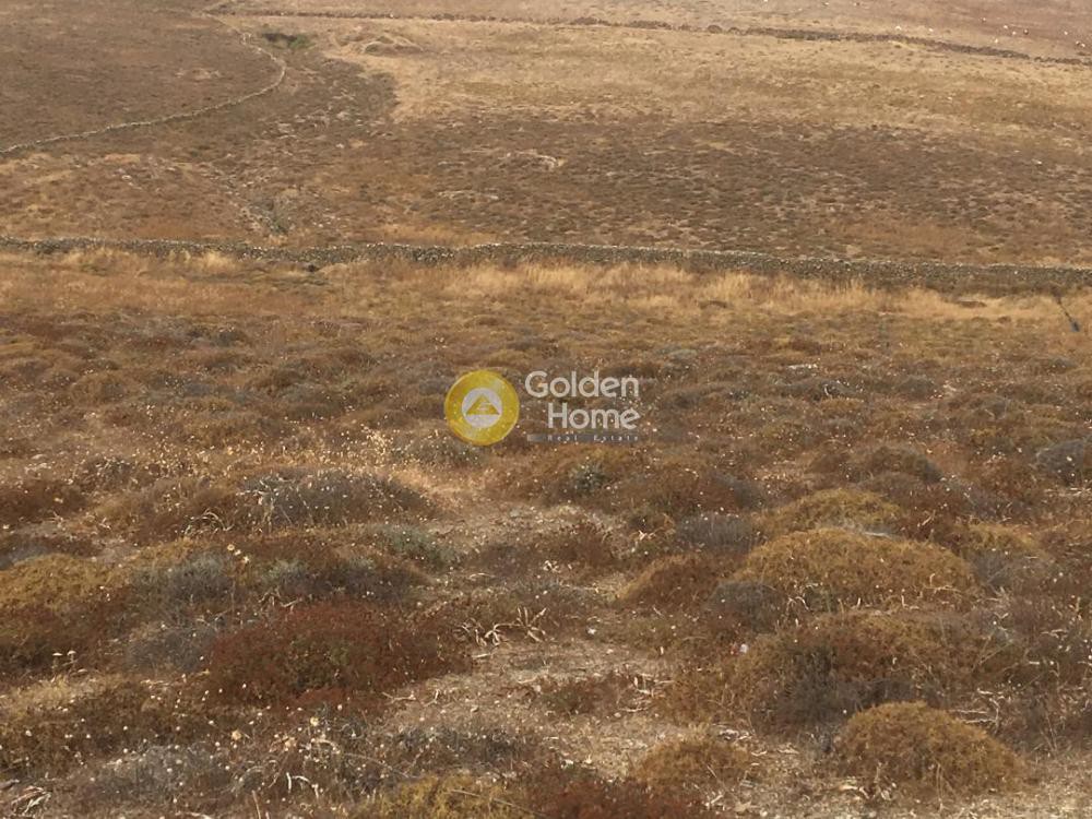 Οικόπεδο 4.050 τ.μ. πρός πώληση, Κυκλάδες, Μύκονος