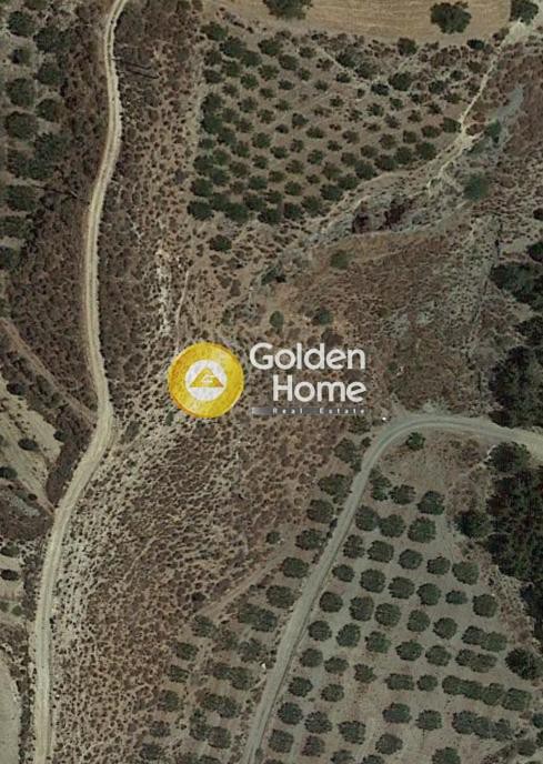 Αγροτεμάχια 51.985 τ.μ. για ενοικίαση, Ν. Ηρακλείου, Μοίρες