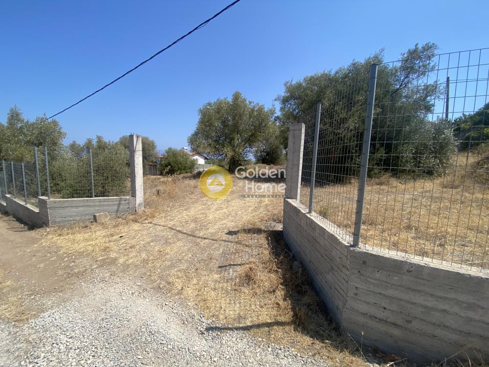Αγροτεμάχια 1.000 τ.μ. προς πώληση, Κέντρο Ανθηδώνος