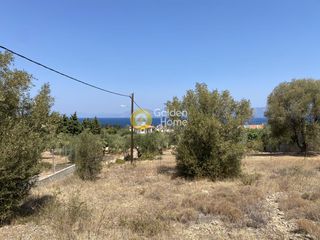 Αγροτεμάχια 1.000 τ.μ. για πώληση