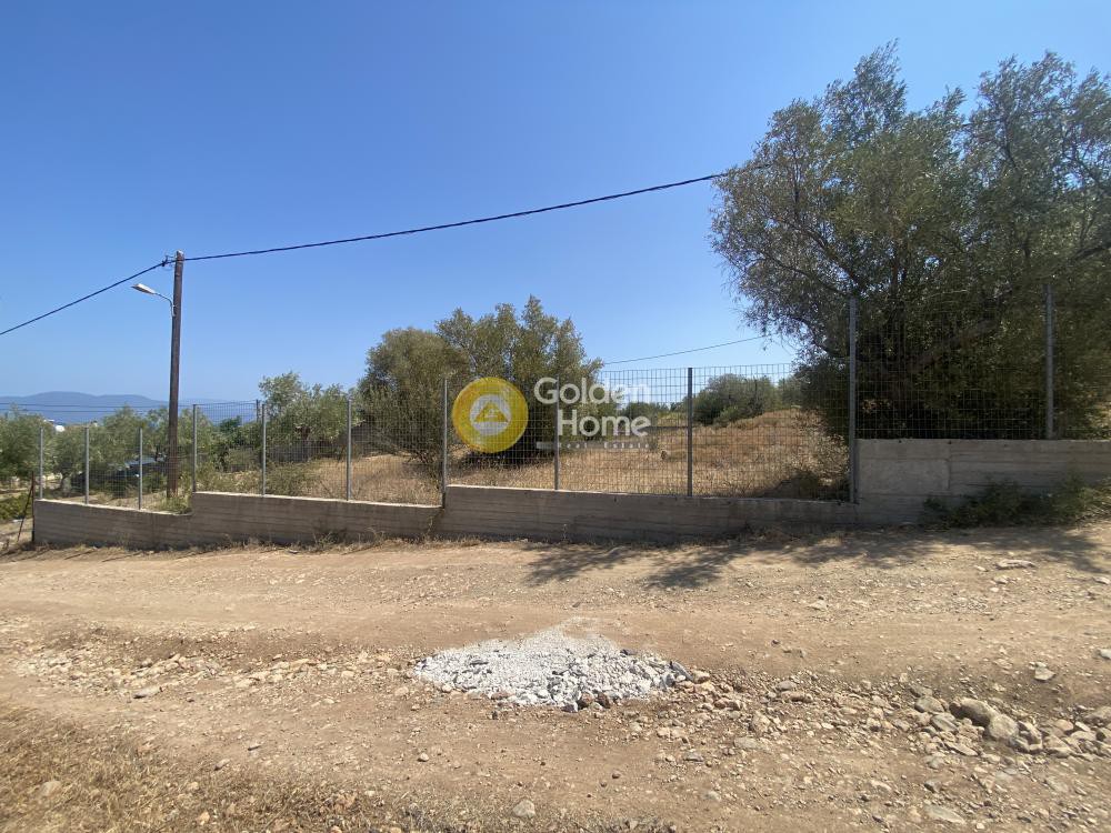 Αγροτεμάχια 1.000 τ.μ. προς πώληση, Κέντρο Ανθηδώνος