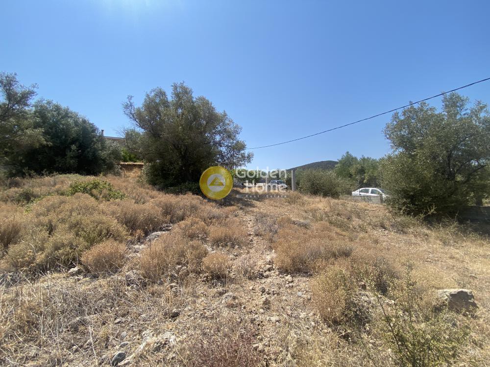 Αγροτεμάχια 1.000 τ.μ. προς πώληση, Κέντρο Ανθηδώνος