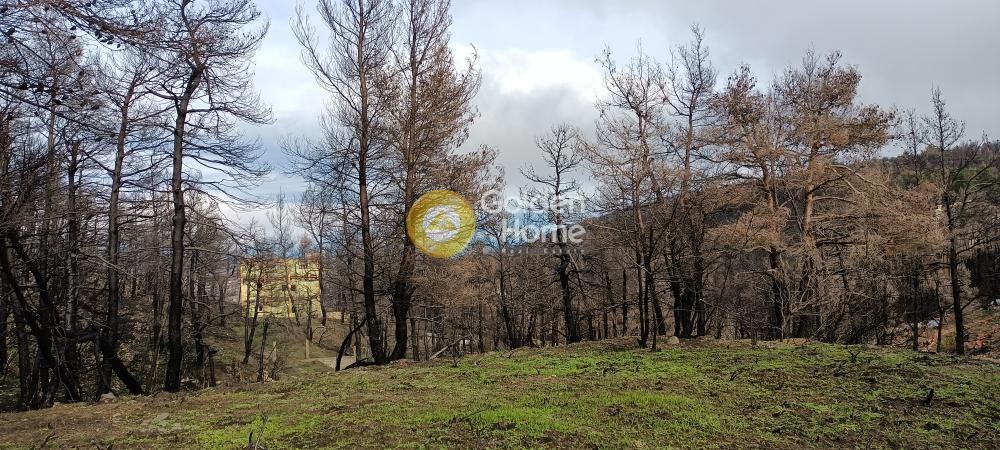 Οικόπεδο 2.004 τ.μ. πρός πώληση, Αττική - Υπόλοιπο, Αφίδνες